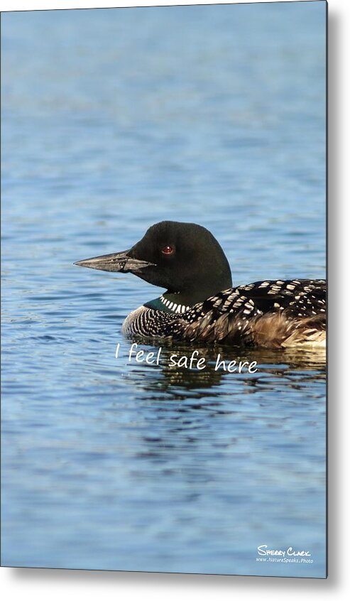  Metal Print featuring the photograph Common Loon says I Feel Safe Here by Sherry Clark