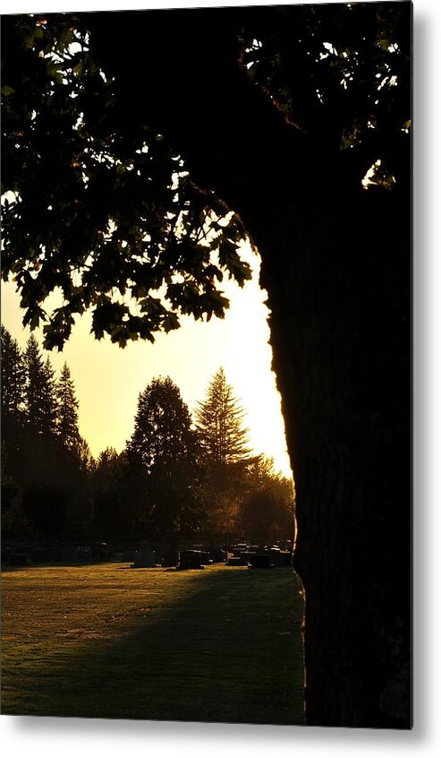 Emotions Metal Print featuring the photograph Evergreen Memorial Park 4981 by Jerry Sodorff