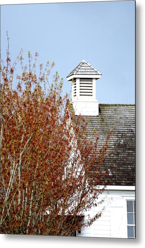 Or Metal Print featuring the photograph Tree and School House 795 by Jerry Sodorff