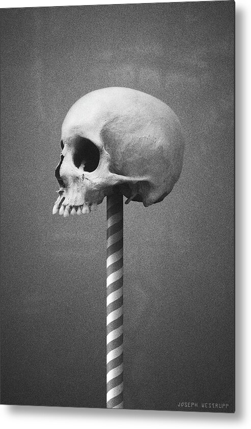 Skull Metal Print featuring the photograph Black Sunshine by Joseph Westrupp