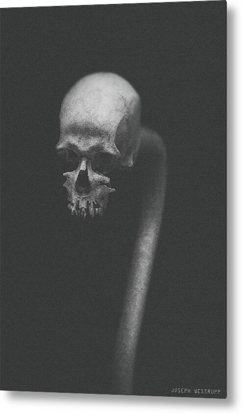 Skull Metal Print featuring the photograph Cranium Ophidian Ashen by Joseph Westrupp