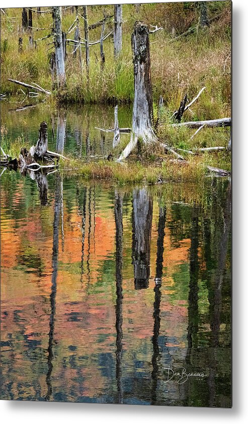New England Metal Print featuring the photograph Reflection in a Beaver Pond #5039 by Dan Beauvais