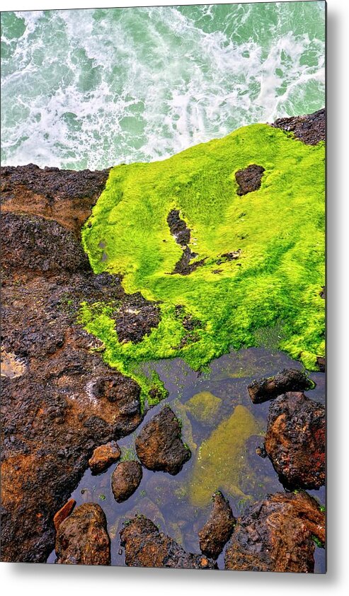Oregon Metal Print featuring the photograph Surf Lichen Tide Pool by Jerry Sodorff