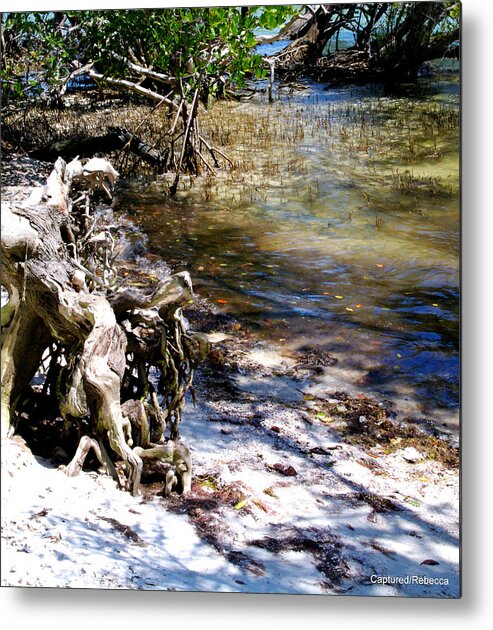 Ocean Sand Driftwood Water Shadows Florida Island Beach Coastline Metal Print featuring the photograph Coastline Drift by Becky Arvin