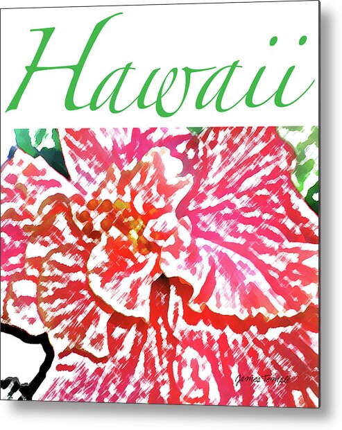 Hawaii Metal Print featuring the digital art Hawaii Blush by James Temple