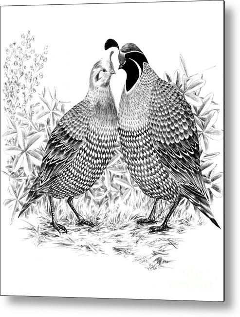 Quail Metal Print featuring the drawing My Dearest by Alice Chen