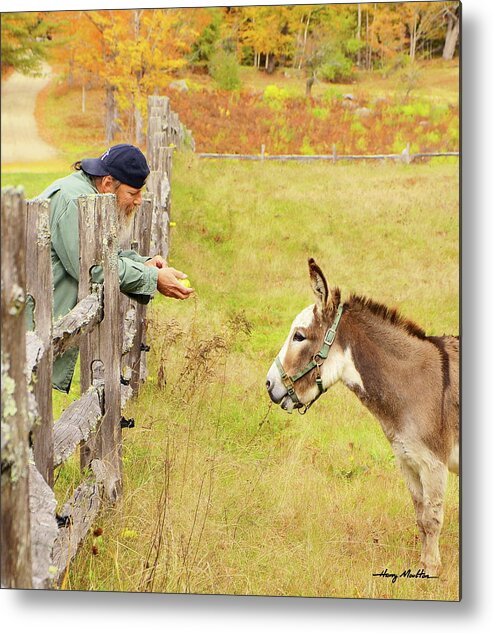 Animal Metal Print featuring the photograph Peace Maker by Harry Moulton