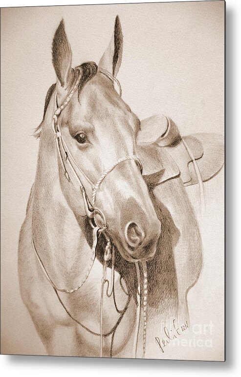 Horse Metal Print featuring the drawing Horse Drawing by Eleonora Perlic