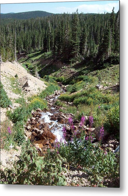 Landscape Metal Print featuring the photograph On Top of The Continental Divide in the Rocky Mountains by Daniel Larsen