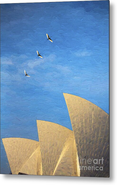Sydney Opera House Metal Print featuring the photograph Sydney Opera House with sacred ibis by Sheila Smart Fine Art Photography