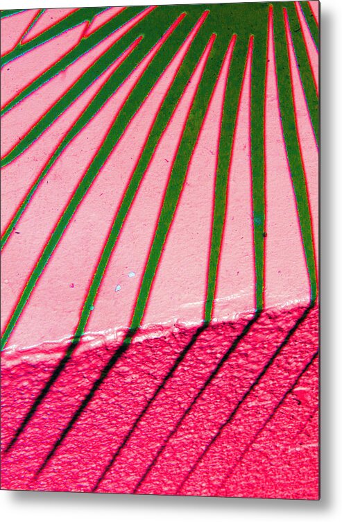  Metal Print featuring the photograph Tickle Pink by Ross Odom