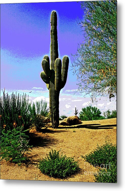 Larry Metal Print featuring the photograph Arizona Cactus #2 by Larry Oskin