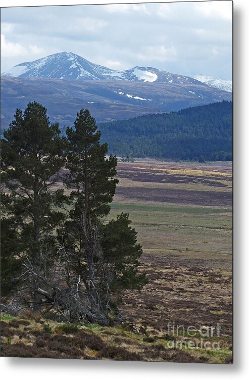Bynack More Metal Print featuring the photograph Bynack More and Beag - Cairngorm Mountains by Phil Banks