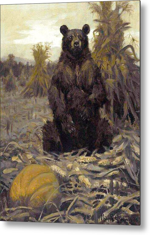 Outdoor Metal Print featuring the painting Harvest Bear by Philip R Goodwin