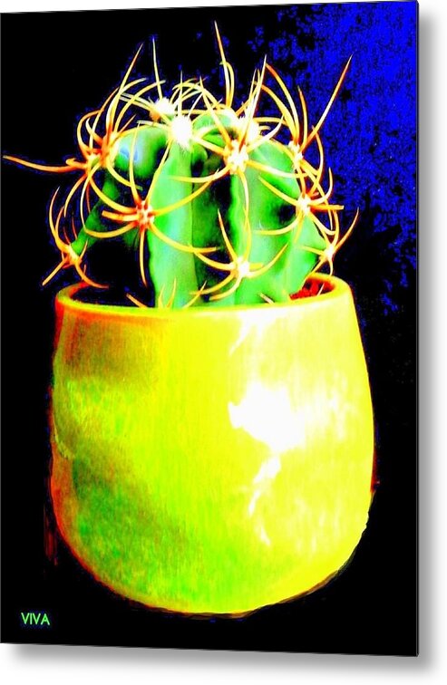 Cactus Contemporary Metal Print featuring the photograph Contemporary Cactus by VIVA Anderson