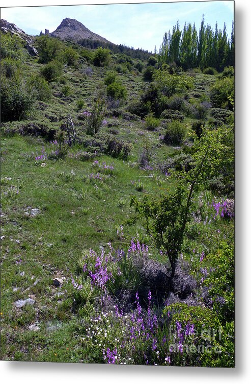 Springtime Metal Print featuring the photograph Springtime in the Sierra Nevada - Spain by Phil Banks