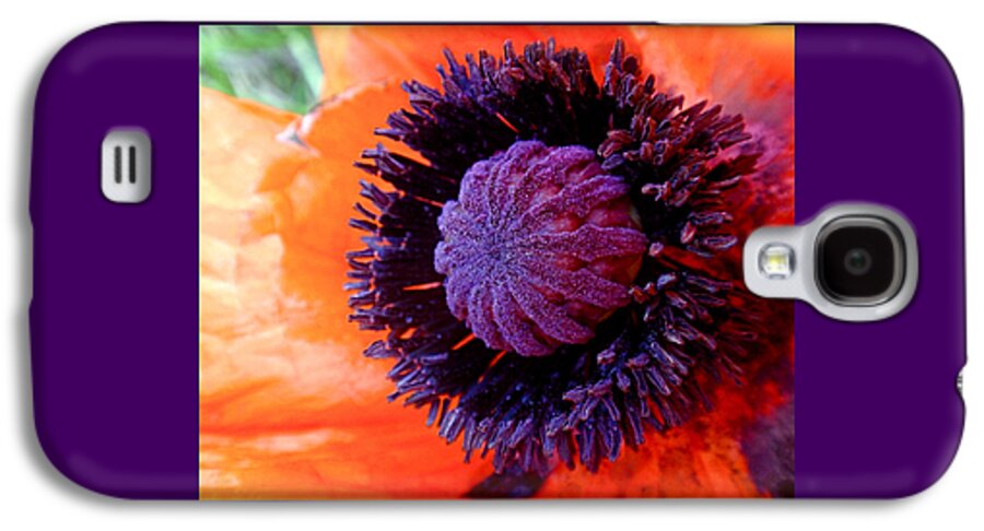 Poppy Galaxy S4 Case featuring the photograph Poppy by Rona Black