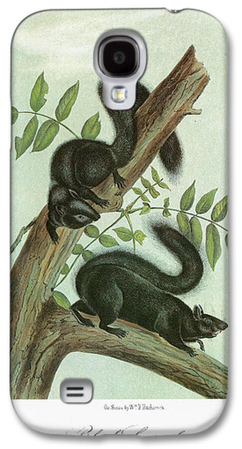 1849 Galaxy S4 Case featuring the painting Audubon Squirrel #2 by Granger