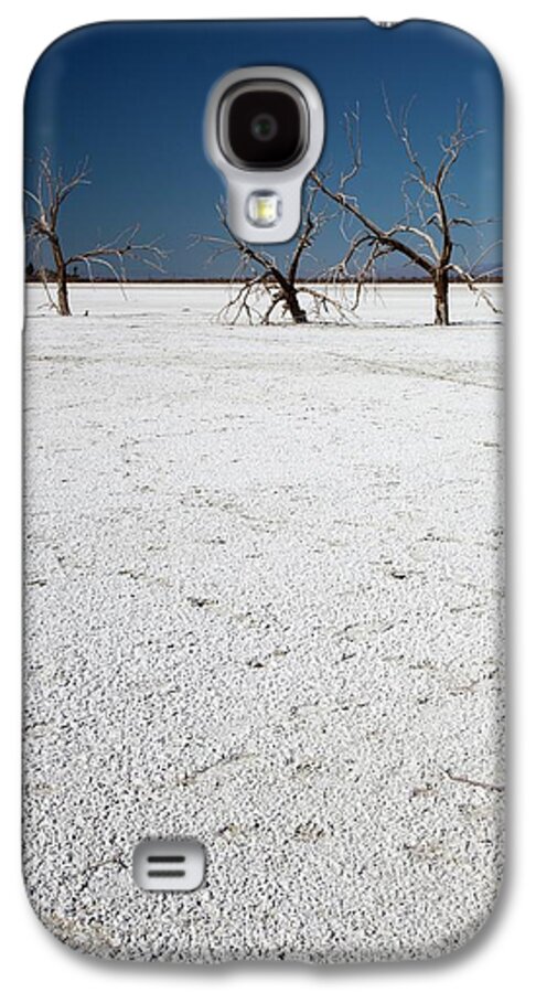 Plant Galaxy S4 Case featuring the photograph Dead Trees On Salt Flat #2 by Jim West