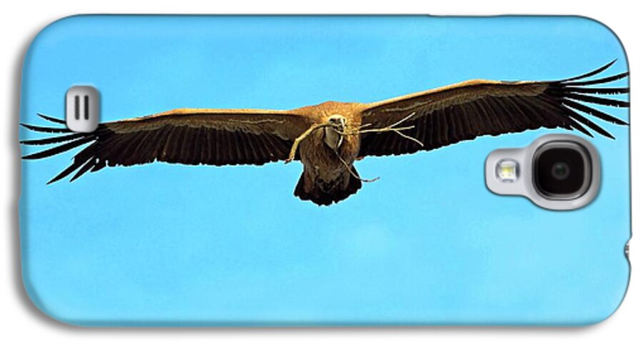 Adult Galaxy S4 Case featuring the photograph Griffon Vulture In Flight #2 by Bildagentur-online/mcphoto-schaef