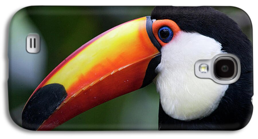 Andres Morya Galaxy S4 Case featuring the photograph Toco Toucan (ramphastos Toco #2 by Andres Morya Hinojosa