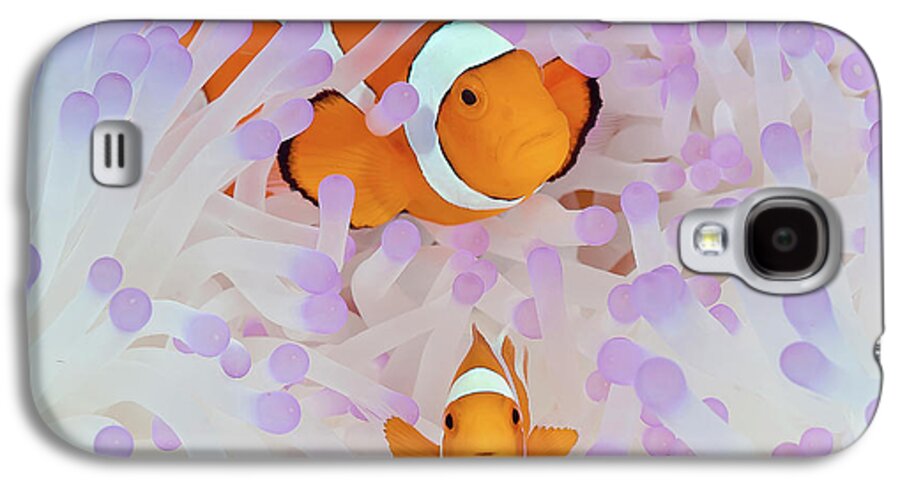 Anemone Galaxy S4 Case featuring the photograph Indonesia, Papua, Raja Ampat #29 by Jaynes Gallery