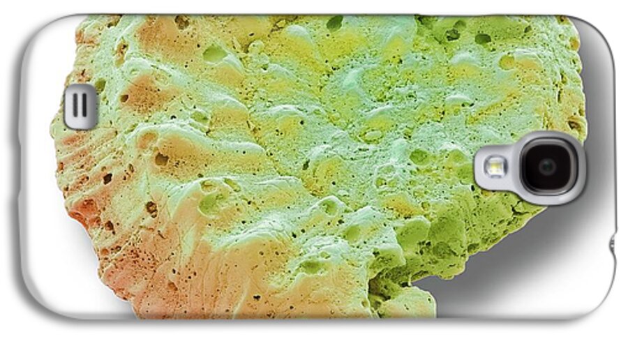 Animal Galaxy S4 Case featuring the photograph Foraminiferan Microfossil #5 by Steve Gschmeissner