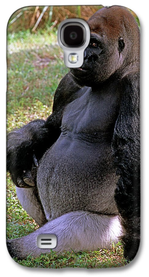 Animal Galaxy S4 Case featuring the photograph Silverback Western Lowland Gorilla #6 by Millard H. Sharp