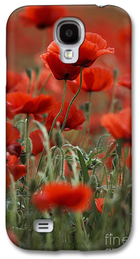 Poppy Galaxy S4 Case featuring the photograph Red #8 by Nailia Schwarz