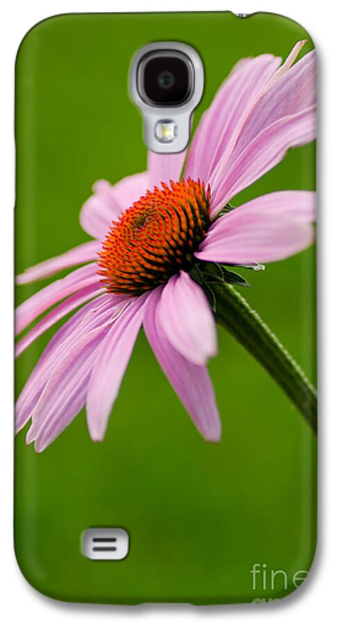 Utah Galaxy S4 Case featuring the photograph A Natural Beauty by Nick Boren