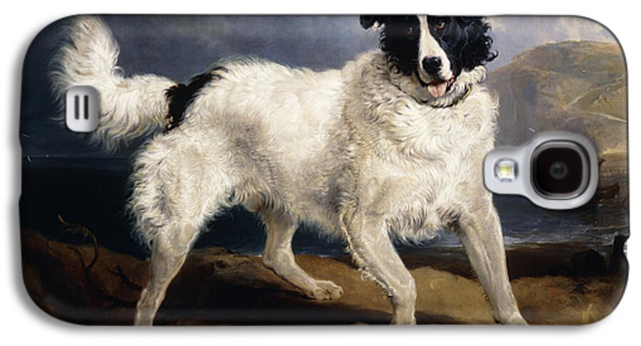 1824 Galaxy S4 Case featuring the painting A Portrait of Neptune by Edwin Landseer