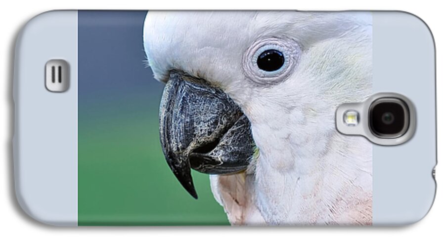 Australian Bird Galaxy S4 Case featuring the photograph Australian Birds - Cockatoo up close by Kaye Menner