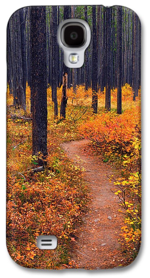 Yellowstone Galaxy S4 Case featuring the photograph Autumn in Yellowstone by Raymond Salani III