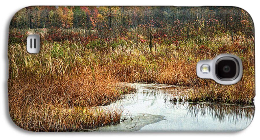 Landscape Galaxy S4 Case featuring the photograph Autumn Marshland by Dale Kincaid