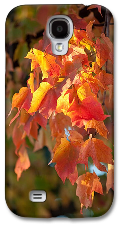 Autumn Galaxy S4 Case featuring the photograph Autumn by Sebastian Musial