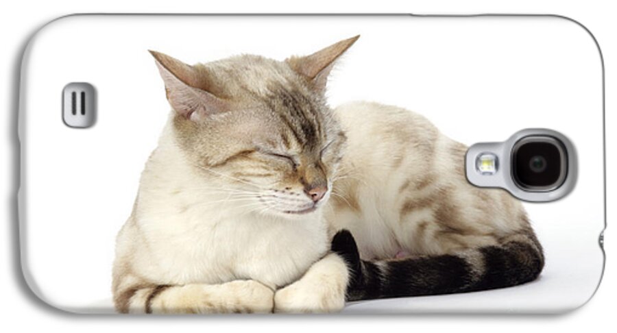 Cat Galaxy S4 Case featuring the photograph Bengal Cat, Asleep by John Daniels