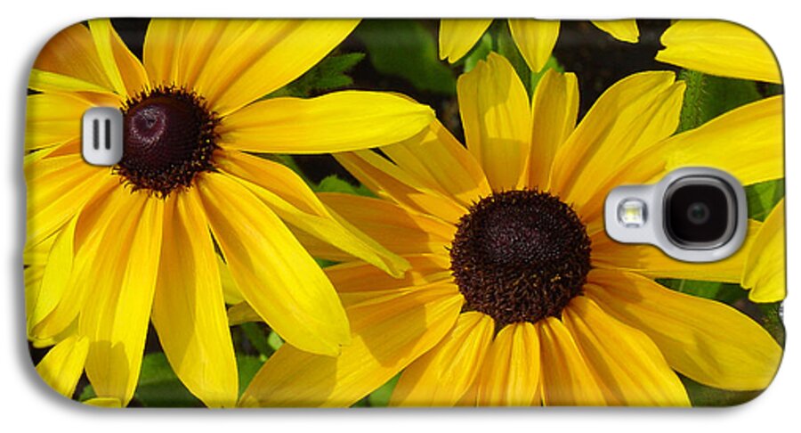 Black Eyed Susan Galaxy S4 Case featuring the photograph Black Eyed Susans by Suzanne Gaff