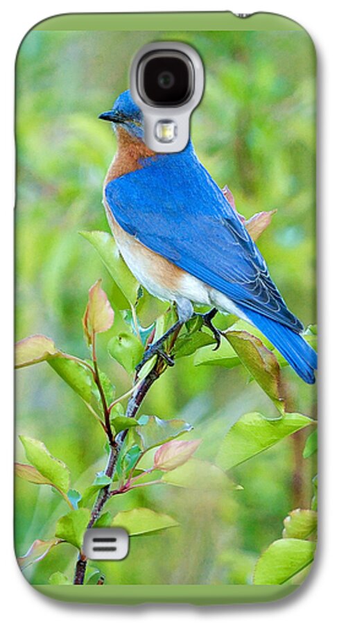Bluebird Galaxy S4 Case featuring the photograph Bluebird Joy by William Jobes