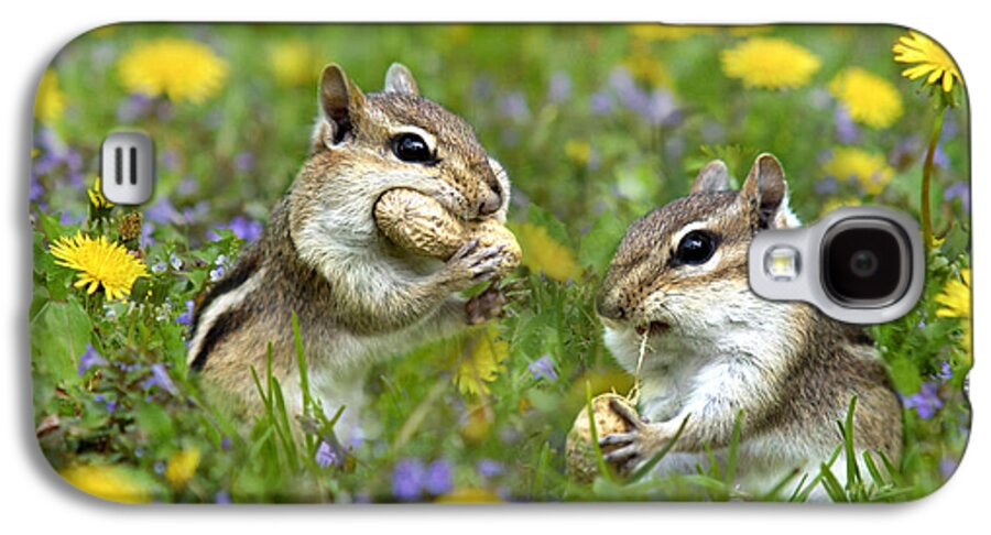Chipmunks Galaxy S4 Case featuring the photograph Bountiful Generosity by Christina Rollo