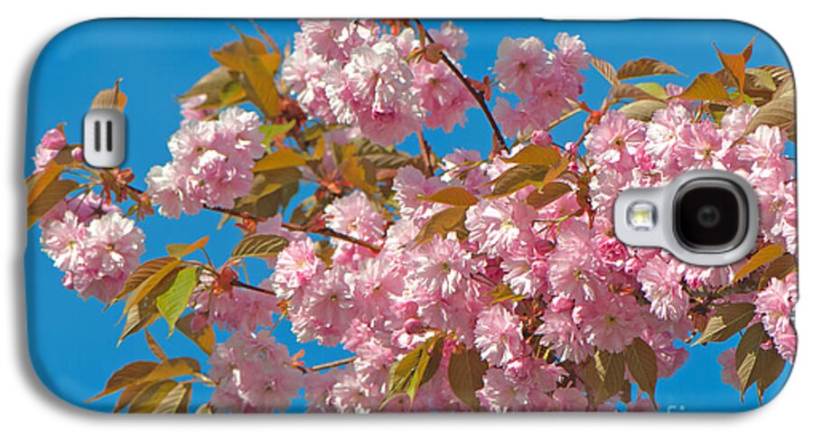 Cherry Blossoms Galaxy S4 Case featuring the photograph Cherry Blossoms 2 by Sharon Talson