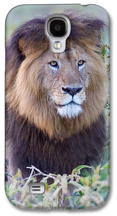 Photography Galaxy S4 Case featuring the photograph Close-up Of A Black Maned Lion by Panoramic Images