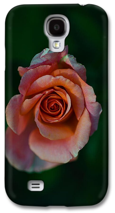 Photography Galaxy S4 Case featuring the photograph Close-up Of A Pink Rose, Beverly Hills by Panoramic Images