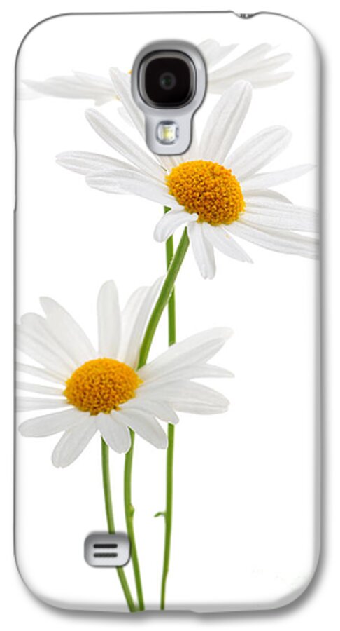 Daisy Galaxy S4 Case featuring the photograph Daisies on white background by Elena Elisseeva