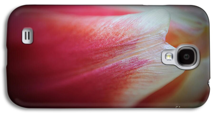 Flower Galaxy S4 Case featuring the photograph Exposed by Luke Moore