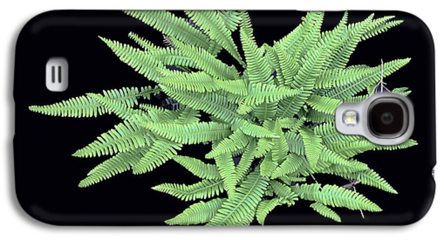 Spring Galaxy S4 Case featuring the photograph Fern by Bill Thomson