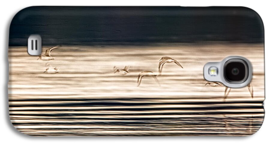Birds Galaxy S4 Case featuring the photograph Flutter by Paul W Sharpe Aka Wizard of Wonders