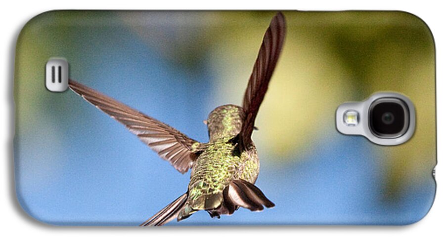 Bird Galaxy S4 Case featuring the photograph Fly away with me by Nathan Rupert
