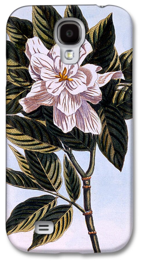 Still-life Galaxy S4 Case featuring the painting Gardenia G Augusta by Pierre Joseph Buchoz