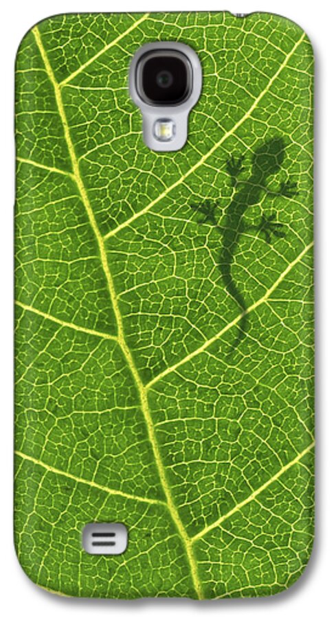 Animal Galaxy S4 Case featuring the photograph Gecko by Aged Pixel