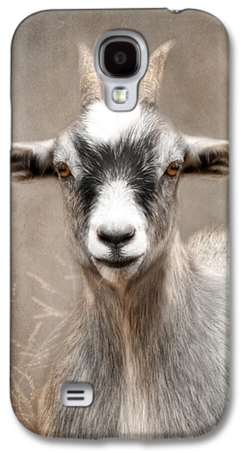 Billy Goat Galaxy S4 Case featuring the photograph Goat Portrait by Lori Deiter